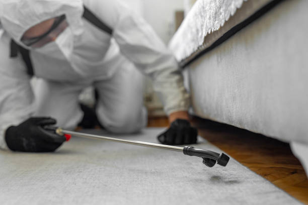 Professional Bed Bug Control technician working in Staunton, IL